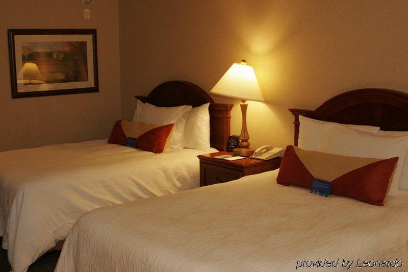 Hilton Garden Inn West Edmonton Phòng bức ảnh