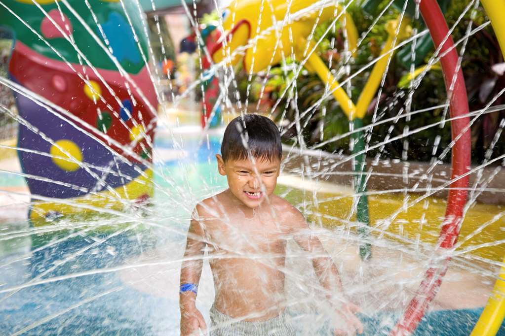 Hilton Garden Inn West Edmonton Tiện nghi bức ảnh